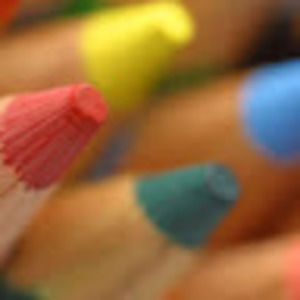 Meet your Posher, Ann